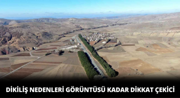 Hem Dikiliş Amaçları Hem de Görünüşleri Dikkatleri Çekiyor