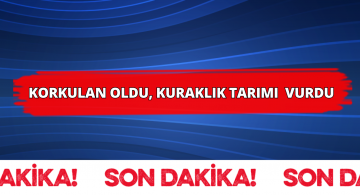 Sivas’ta Yaşanan Kuraklık Tarımı da Vurdu