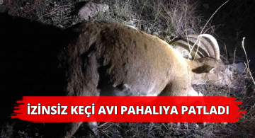 Koruma Altındaki Keçiyi Avlayana Ceza Kesildi