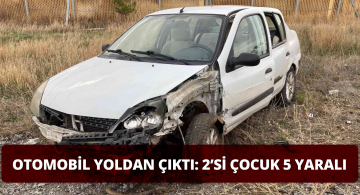 Yoldan Çıkan Otomobil Kaza Yaptı 5 Yaralı