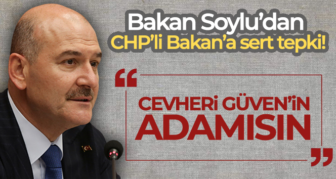 Bakan Soylu’dan CHP’li Bakan’a tepki: ‘Cevheri Güven’in adamısın’