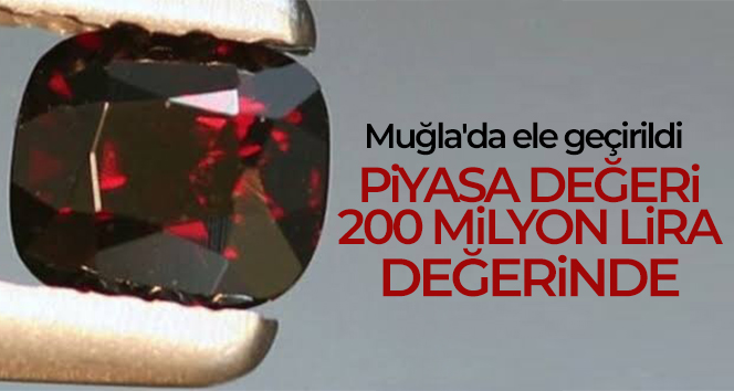 Definecilerin evinde piyasa değeri 200 milyon lira olan Painite taşı ele geçirildi