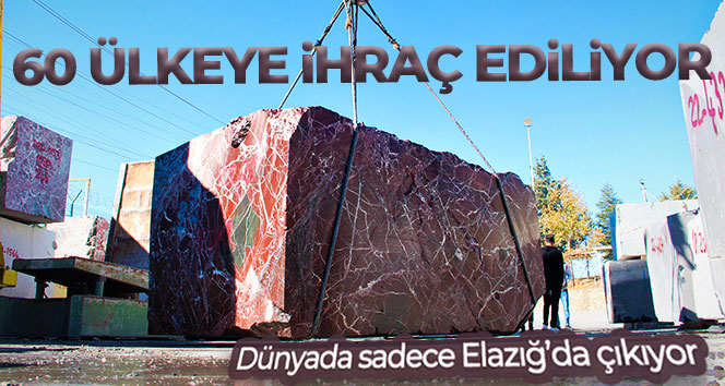 Dünyada sadece Elazığ’da çıkıyor, 60 ülkeye ihraç ediliyor