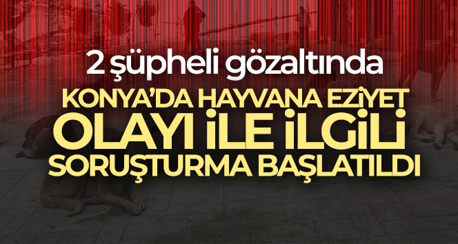 Konya’daki hayvana eziyet şüpheliler adliyeye sevk edildi
