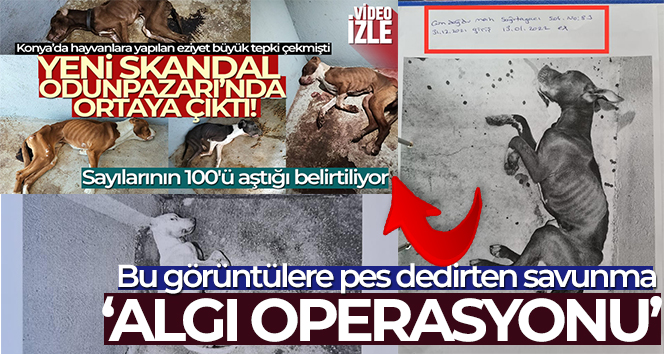 Skandal görüntülere ilginç savunma