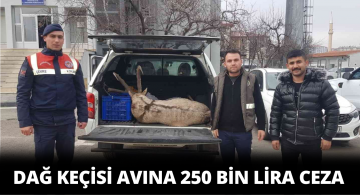 Koruma Altındaki Dağ Keçisini Avlayan Kişiye Ceza Kesildi