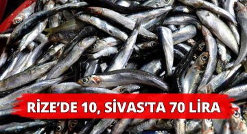 Rize’de 10 TL’ye Sivas’ta 70 TL’ye Satılıyor