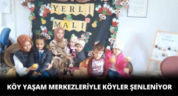 Köyler Köy Yaşam Merkezleri İle Şenleniyor