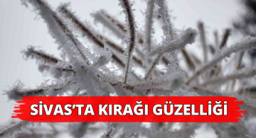 Sisten Geriye Kalan Kırağı Güzelliği