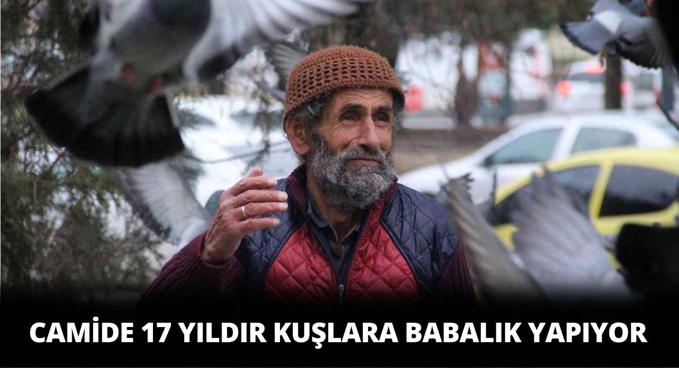Ulu Cami’nin Kuşlarına Babalık Yapıyor