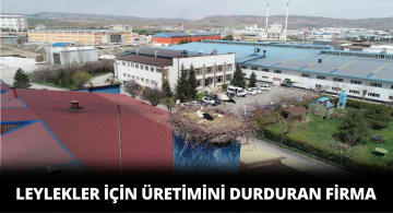 Fabrika Leylekler İçin Üretimini Durdurdu