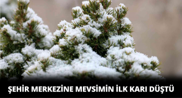 Sivas Merkeze Yılın İlk Karı Düştü