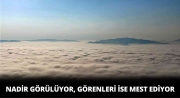 Sivas’ta Çok Nadir Görülüyor Görenleri Büyülüyor