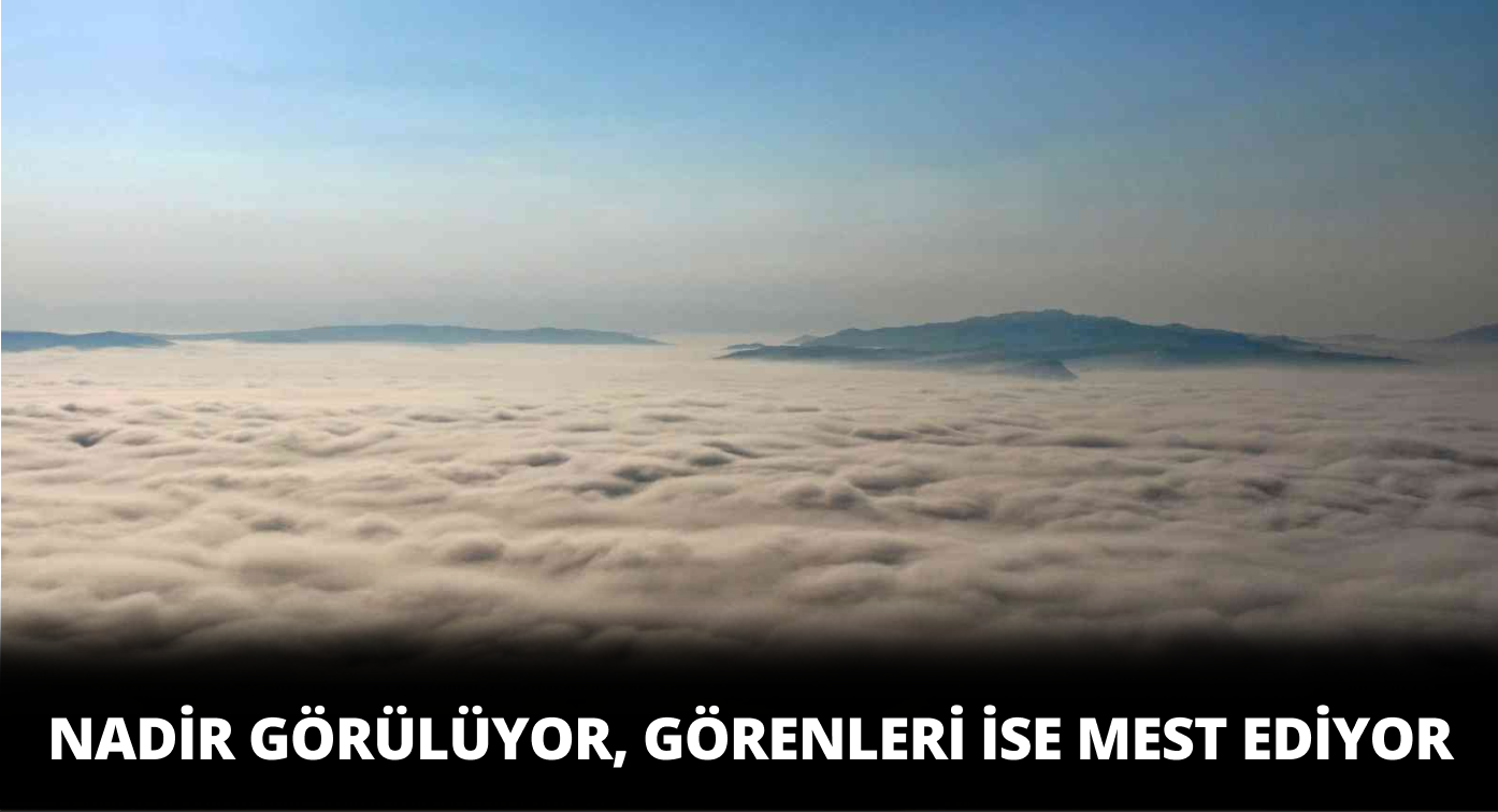 Sivas’ta Çok Nadir Görülüyor Görenleri Büyülüyor