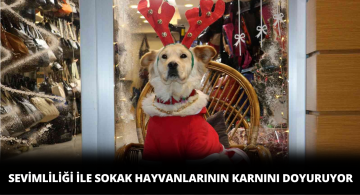 Boncuk Sokak Hayvanları İçin Gelir Sağlıyor