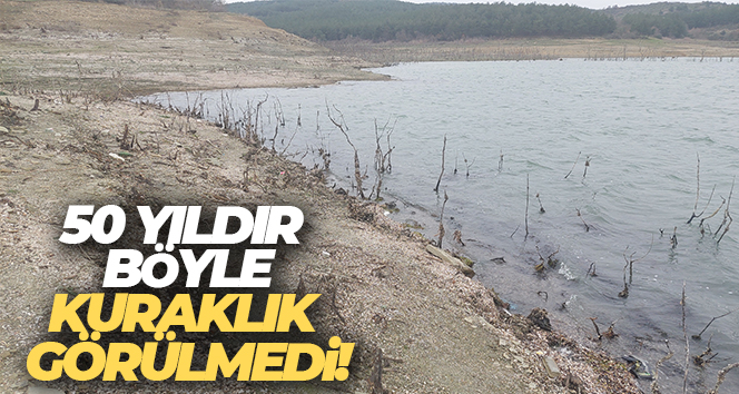50 yıldır böyle kuraklık görülmedi: Dipteki ağaçlar ortaya çıktı
