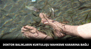 Doktor Balıkların Kurtuluşu Bu Mahkemeye Bağlı