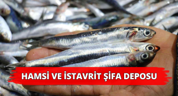 Hamsi ve İstavrit Kılçıklarıyla Tüketildiğinde Şifa Deposu