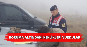 Çil Keklikleri Avlayanlara 11 bin 46 TL İdari Para Cezası