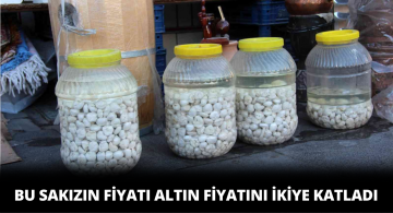 Bu Sakızın Değeri Altının İki Katı