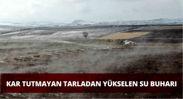 Kar Tutmayan Tarlada İnceleme Yapılması İstendi