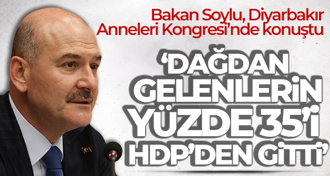 Bakan Soylu: ‘Dağdan gelenlerin yüzde 35’i HDP’den gitti’