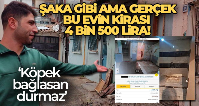 Böyle ev sahibi düşman başına