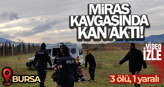 Bursa’da miras kavgasında kan aktı : 3 ölü 1 yaralı