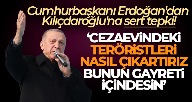 Cumhurbaşkanı Erdoğan: ‘Bunlar teröristin başını ezen Türkiye fotoğrafını hazmedemiyor’
