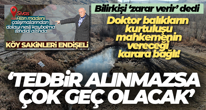 Doktor balıkların kurtuluşu mahkemenin vereceği karara bağlı