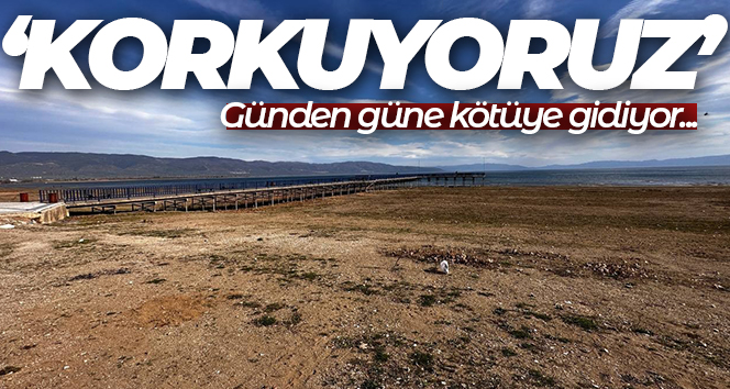 Kuraklığın en acı görüntüsü…