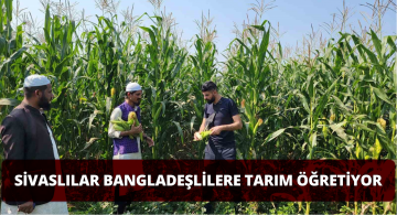 Sivaslı Çiftçilerden Bangladeşlilere Tarım Dersleri