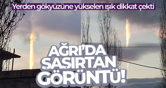 Ağrı’da şaşırtan görüntü