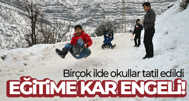 Eğitime kar engeli! Birçok ilde okullar tatil edildi | İşte okulların tatil olduğu iller