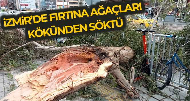 İzmir’de fırtına hayatı olumsuz etkiledi