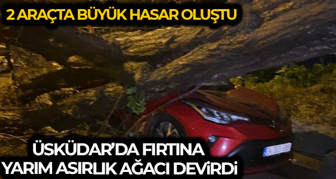 Üsküdar’da yarım asırlık akasya ağacı 2 otomobilin üzerine devrildi