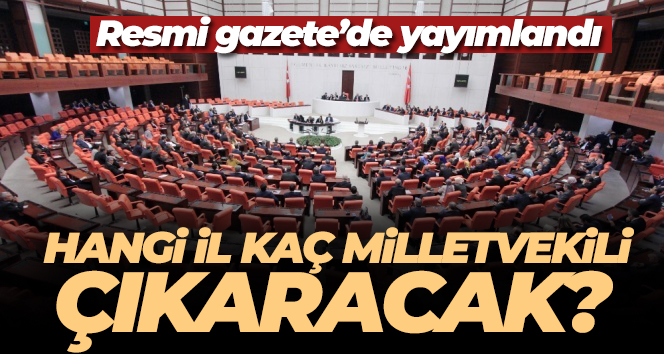 Hangi il kaç milletvekili çıkaracak? Resmi Gazete’de yayımlandı!