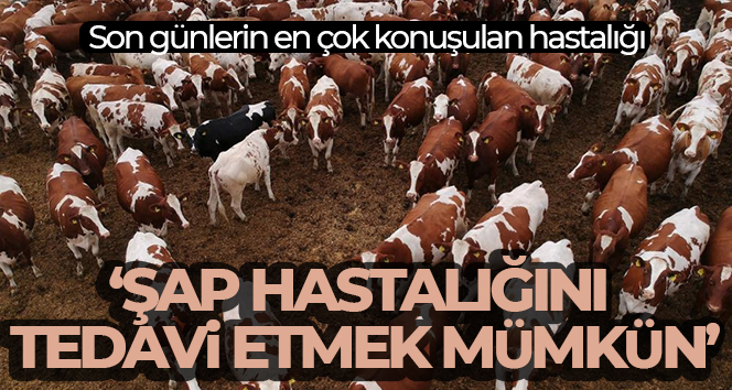 ‘Sağlığı ve üretimi tehdit eden şap hastalığını tedavi etmek mümkün’