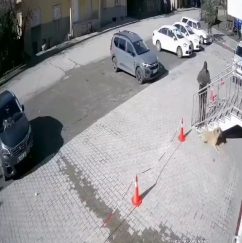 Sivas’ta Köpeğe Taş Atan Kişinin İnsanlık Dışı Davranışı Kamerada!