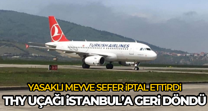 Yasak meyve koku detektörlerini harekete geçirdi, THY uçağı İstanbul’a geri döndü