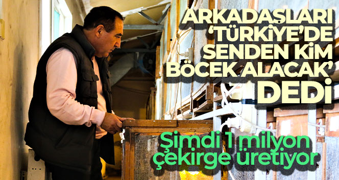 Arkadaşlarının ‘Türkiye’de senden kim böcek alacak’ dediği işletmeci 1 milyon çekirge üretiyor