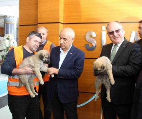 Bakan Kirişci: “Sivas’ımızı tarımsal üretimde lider konumuna taşıyacağız”