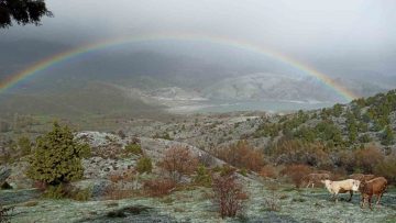 Sivas’ta yağmur sonrası gökkuşağı adeta kartpostallık manzaralar oluşturdu
