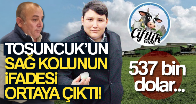 ‘Tosuncuk’ lakaplı Mehmet Aydın’ın sağ kolu Osman Naim Kaya’nın ifadesine ulaşıldı