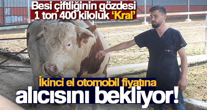 Onu gören şaşırıyor: İkinci el otomobil fiyatına alıcısını bekliyor