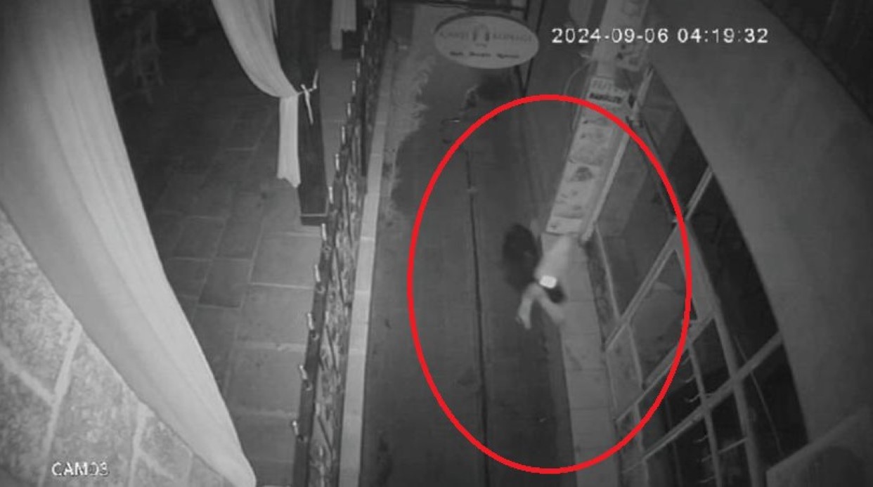 Diyarbakır’da Kasap Dükkanından Et Hırsızlığı: 10 Şüpheli Tutuklandı
