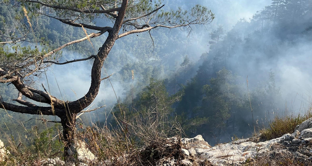 Hatay’daki Orman Yangınına Müdahale 23. Saatte Devam Ediyor