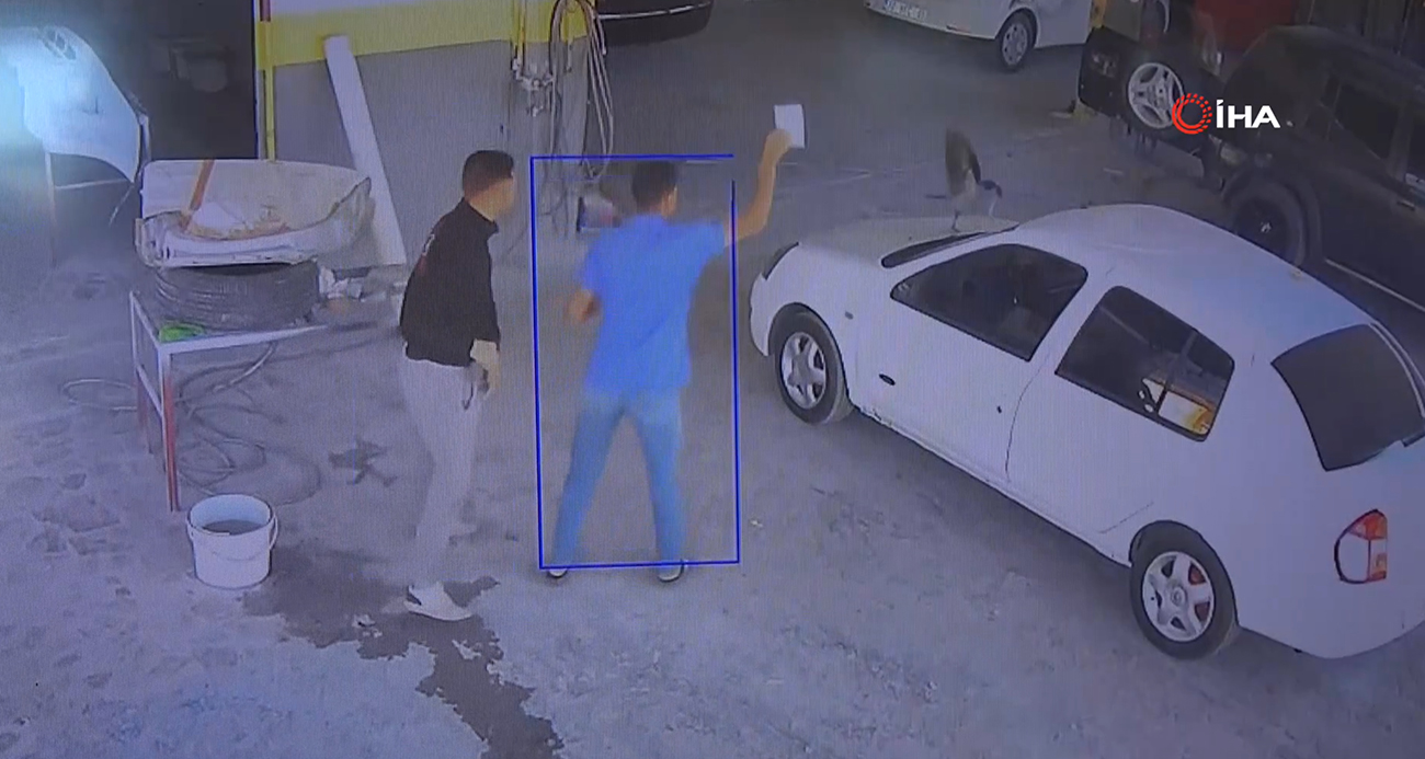 Mersin’de Bir Karga, Otomobil Anahtarını Götürdü: Olay Anı Kamerada