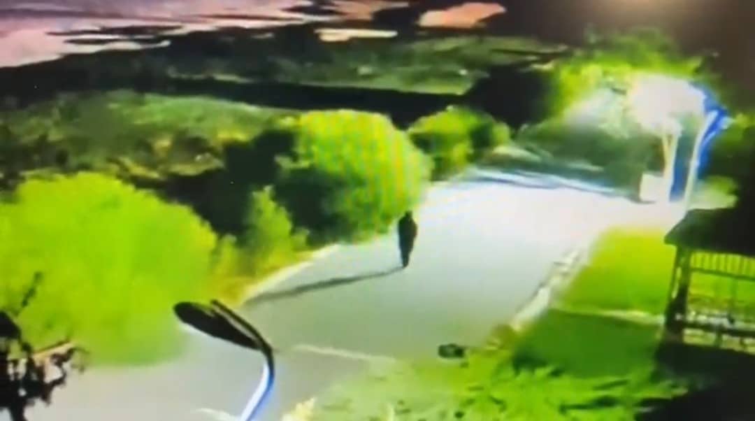 Van’da Üniversite Öğrencisi Rojin Kabaiş’ten 13 Gündür Haber Alınamıyor