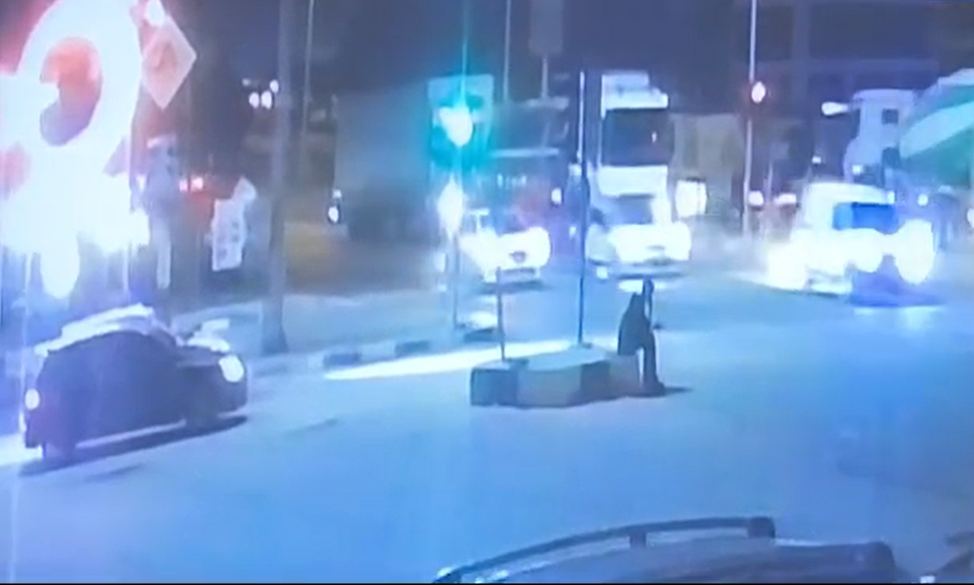 Yalova’da Kırmızı Işıkta Trajik Kaza: Yaya Hayatını Kaybetti